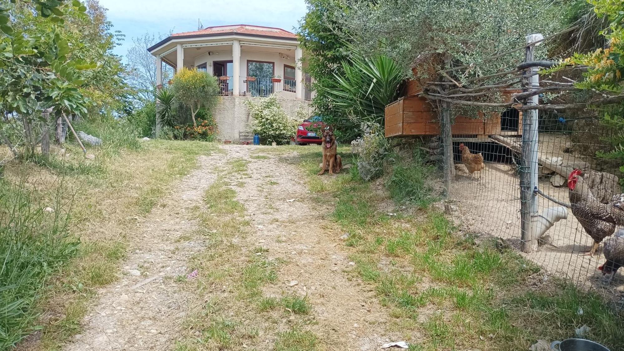 Palapico Hotel Bonifati Exterior photo
